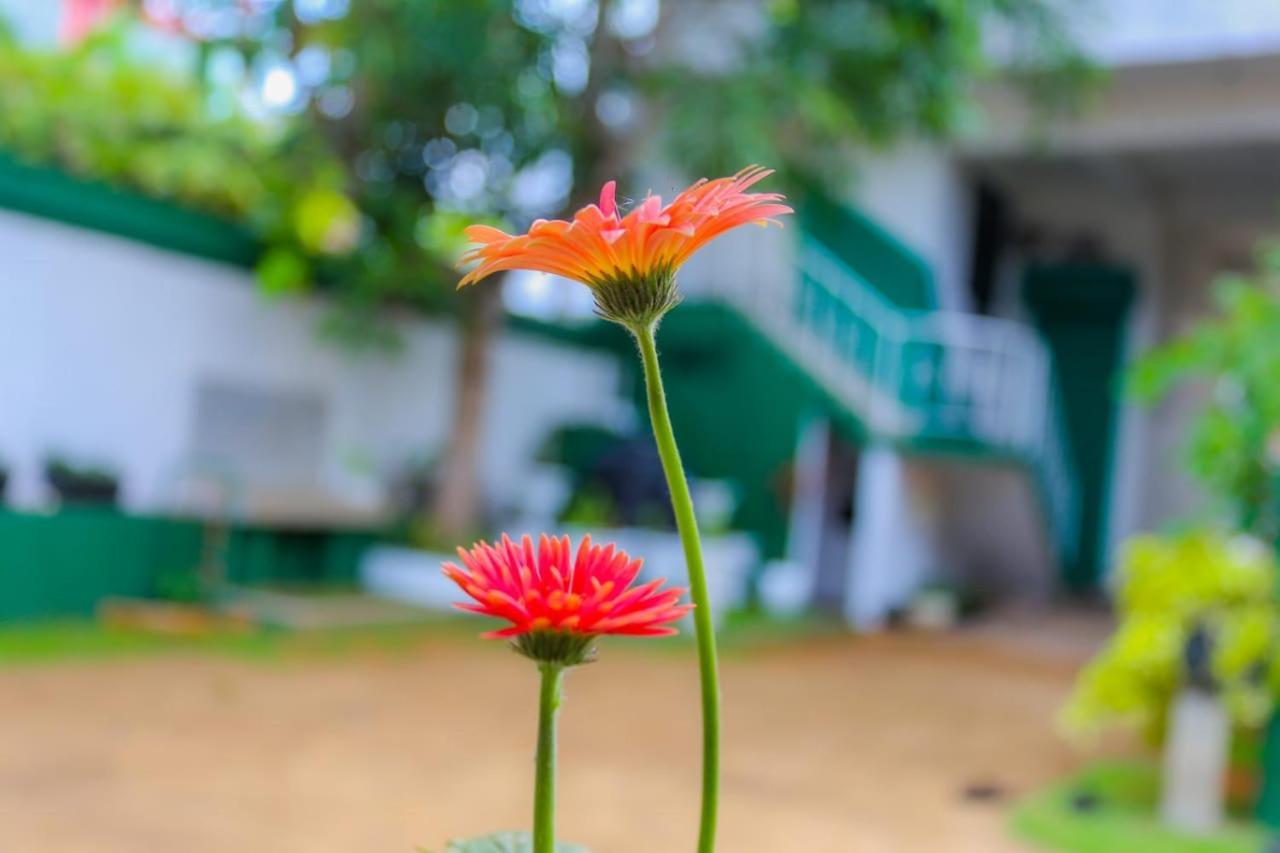 Niwahana Transit City Hotel Katunayake Exterior photo